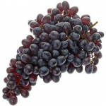 GRAPE WITHOUT SEED CHAROS