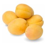 APRICOT SHALACK