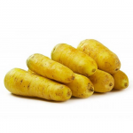CARROT YELLOW