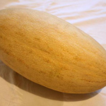 MELON TORPEDA
