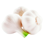 GARLIC YOUNG