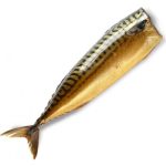 MACKEREL
