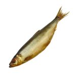 SMOKED HERRING FISH