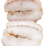 HOT SMOKED STURGEON (500gr)