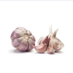 GARLIC BULB