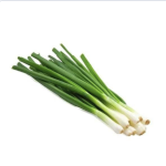 GREENS ONION