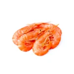 SHRIMP MAGADAN 0,5 KG