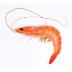 MAGADAN SHRIMPS 'BOTAN' 0,5 KG